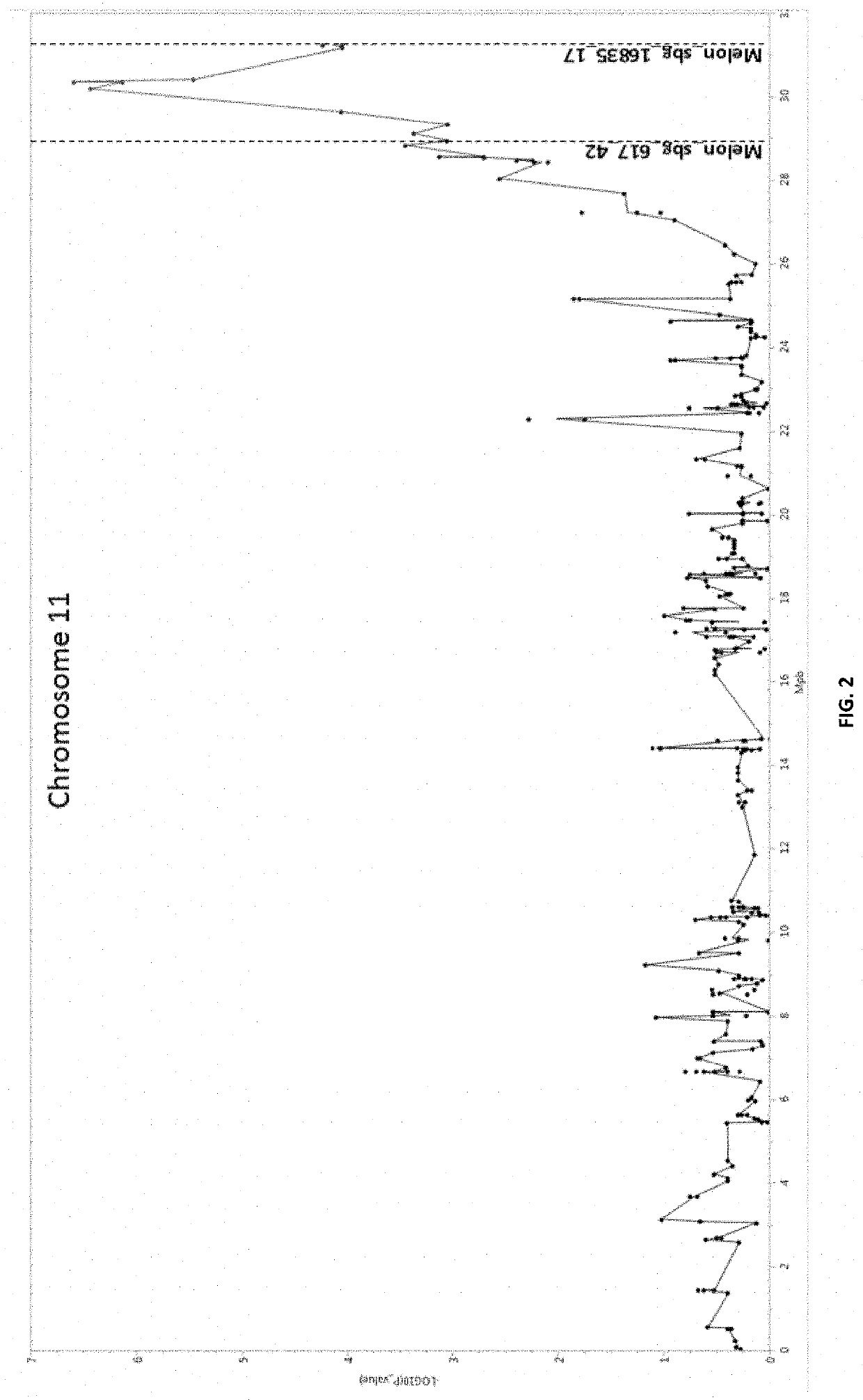 Resistance to tolcndv in melons