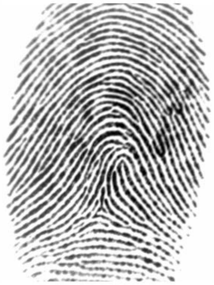 An irreversible fingerprint template encryption method based on symmetric hash