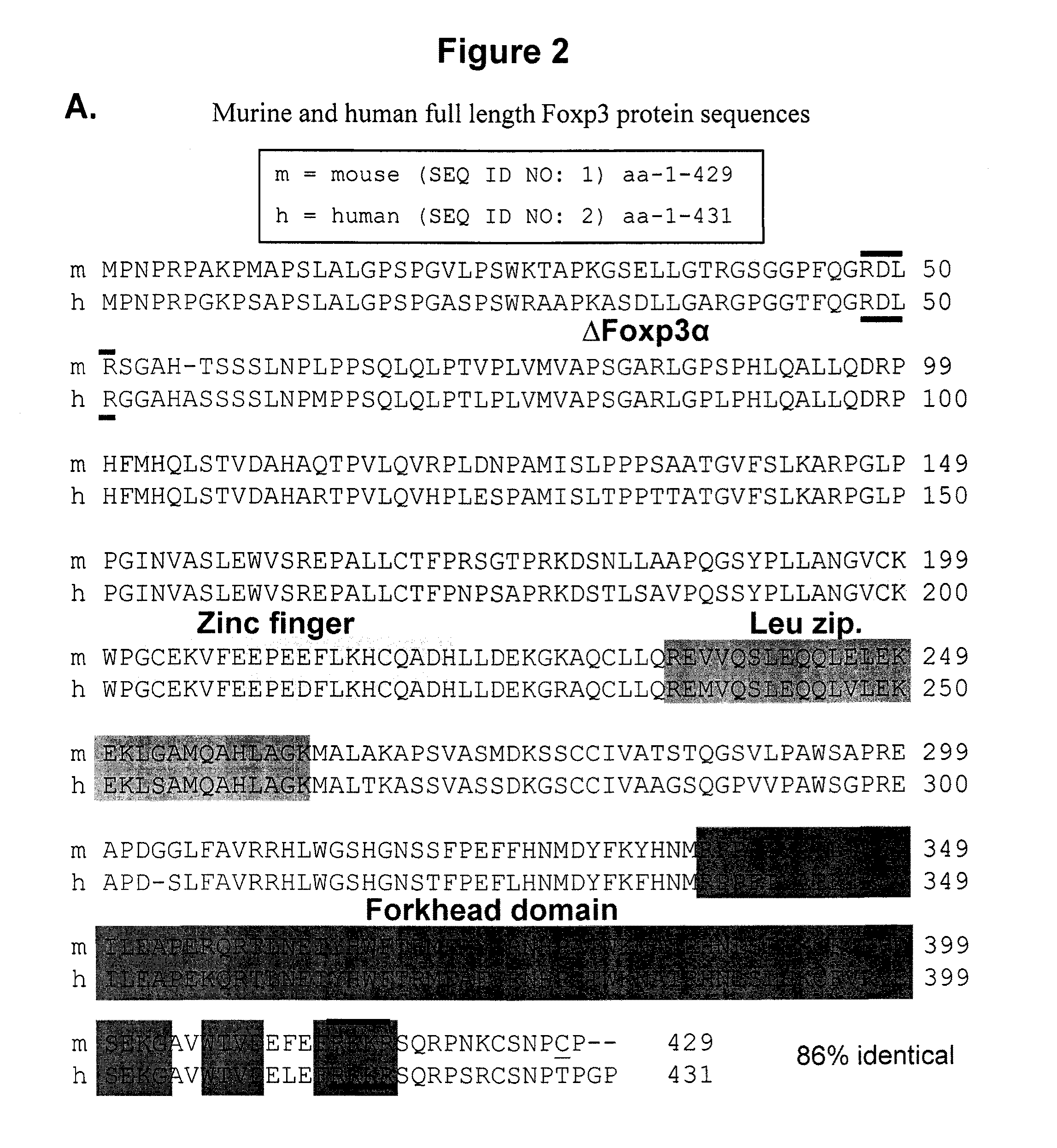 Compositions and Methods for Regulating T-Cell Activity