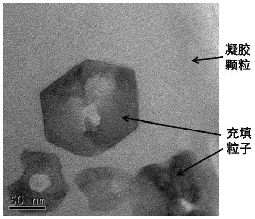 Anti-high temperature "core/shell" structure gel particle plugging agent and its preparation method and application