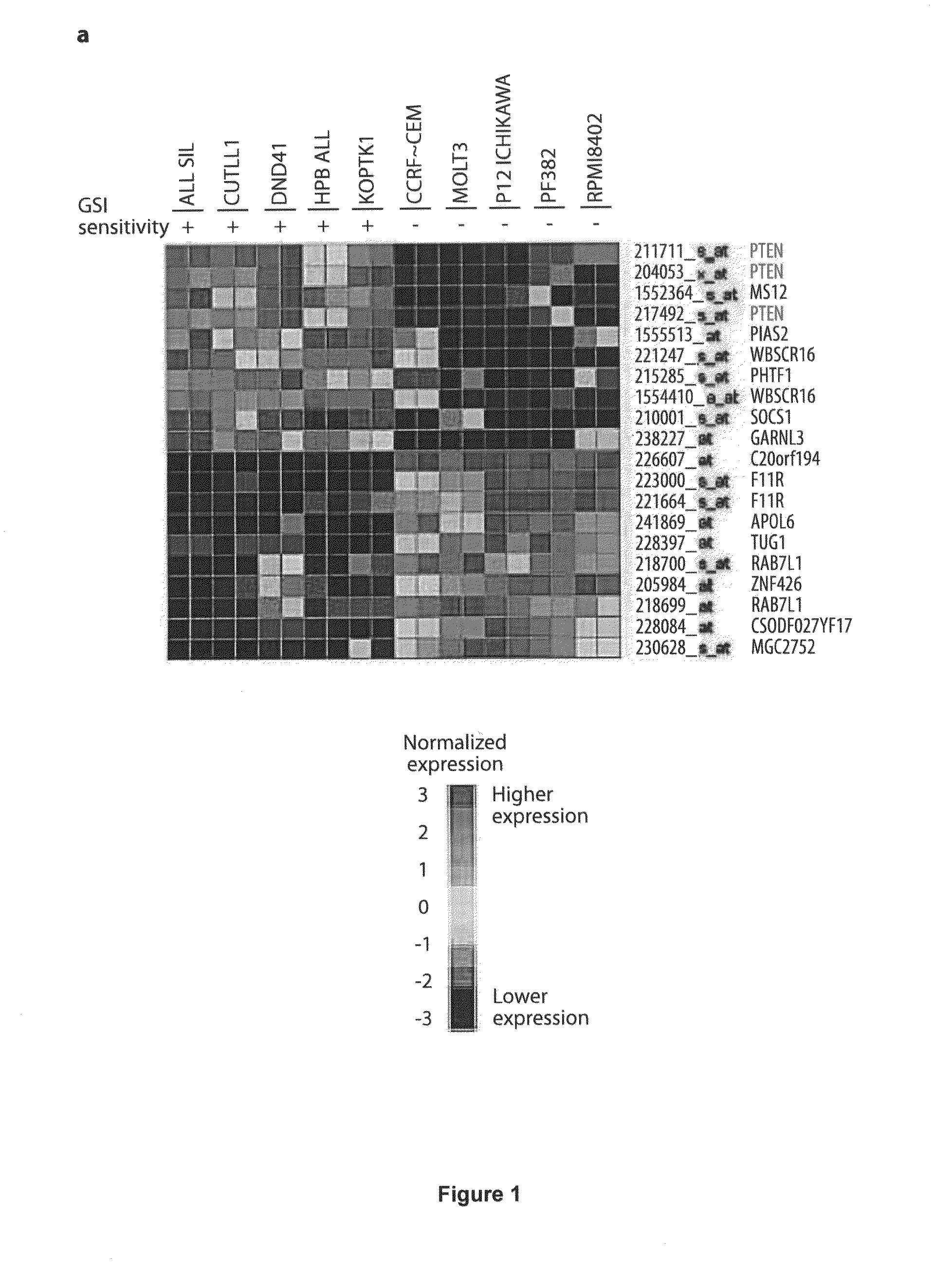 Methods and compositions for treating t-cell leukemia