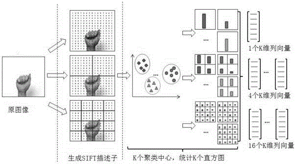 Gesture recognition method based on image space pyramid bag of features
