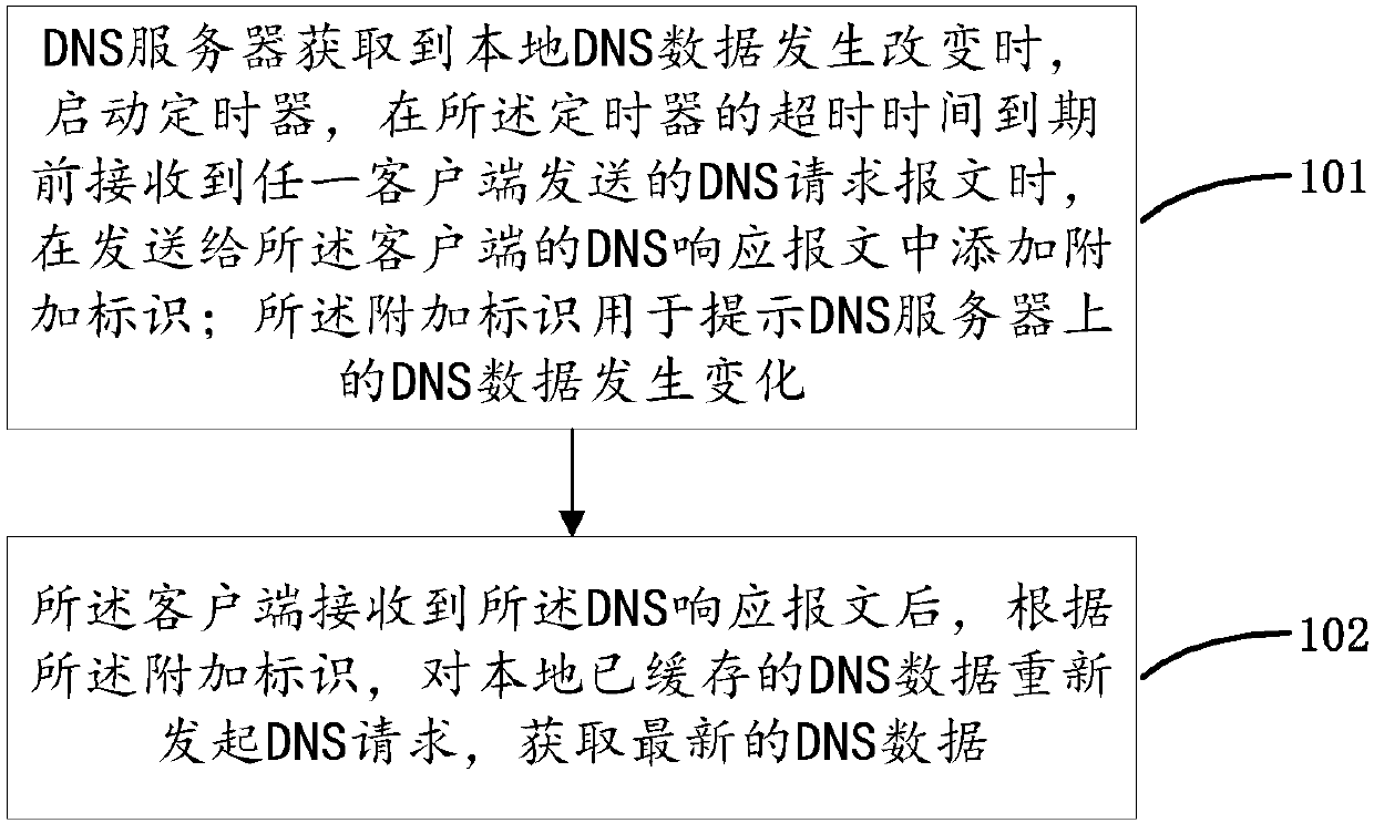 DNS data updating method, system and device