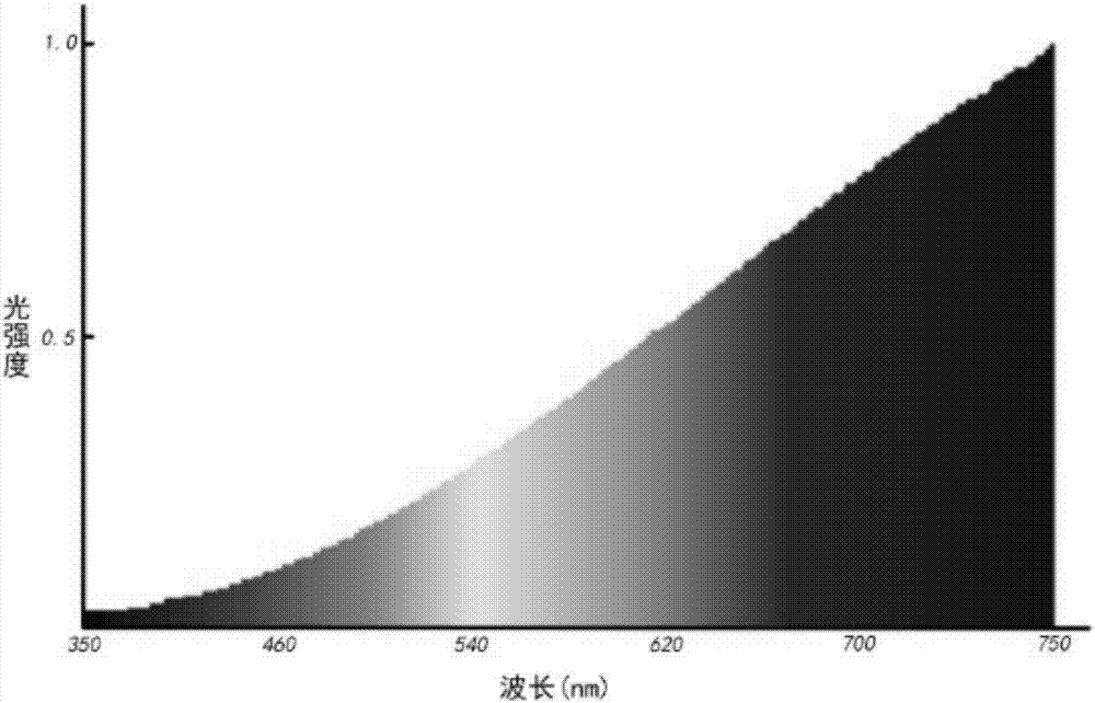 Method for cultivating camellia nitidissima chi embryo tissue culture seedling under sunlight condition