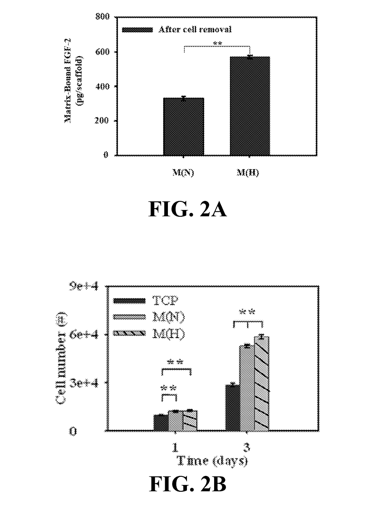 Materials and methods for expansion of stem cells