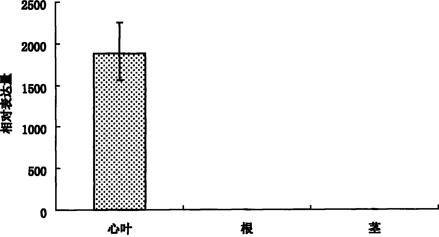 Promoter of specificity of heart leaves of Zea mays ssp. Mays L. and application of specific promoter in transgenic breeding