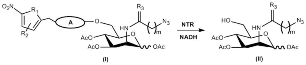 N-azidoacetyl-d-mannosamine derivatives and their preparation methods and applications in the detection of nitroreductase