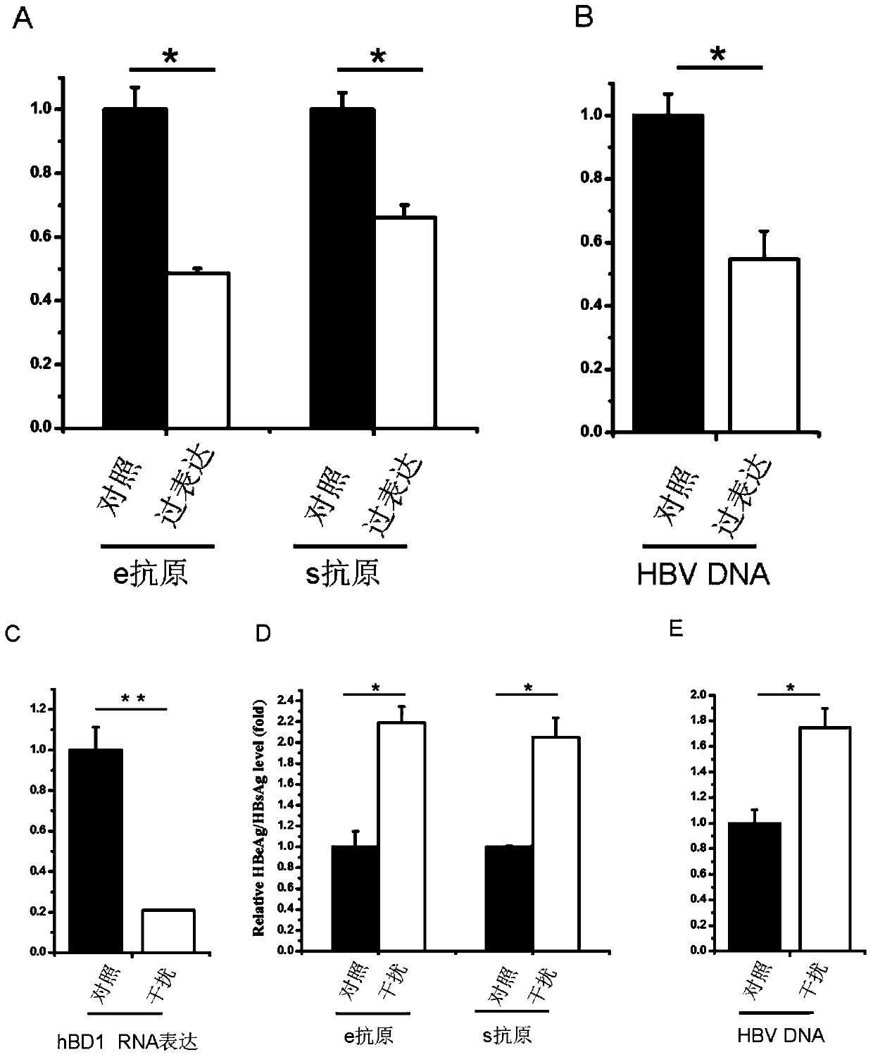 Application of a kind of human β-defensin-1 in the preparation of medicine for treating or preventing hepatitis B virus infection