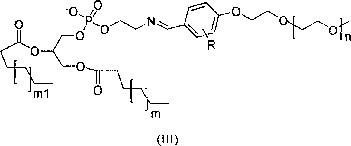 Polyethylene glycol-phosphatidyl ethanolamine polymer or medicinal acid addition salt and application thereof in pharmacy