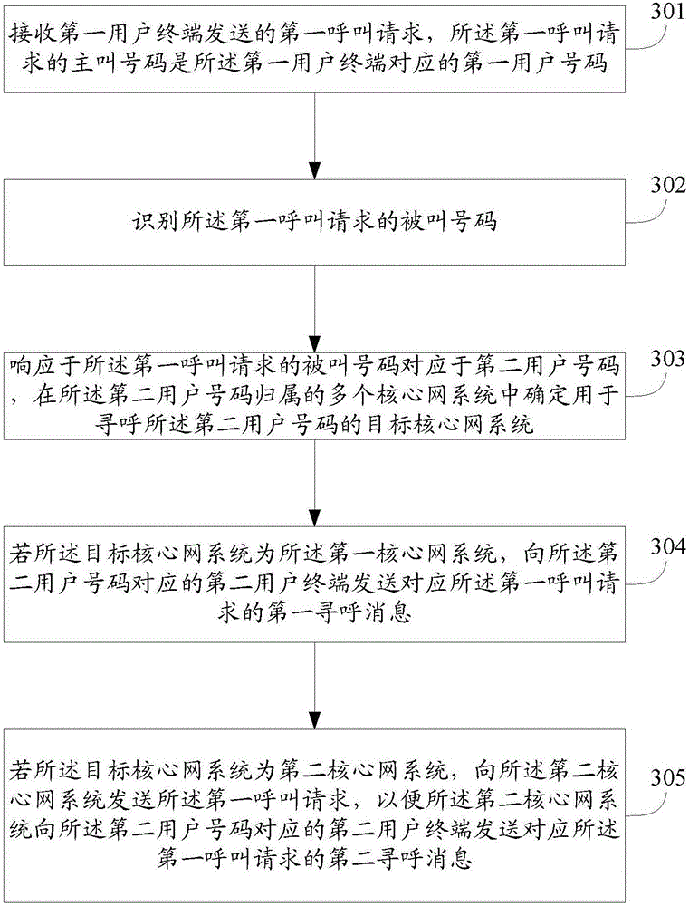 Calling method and apparatus, terminal and core network system