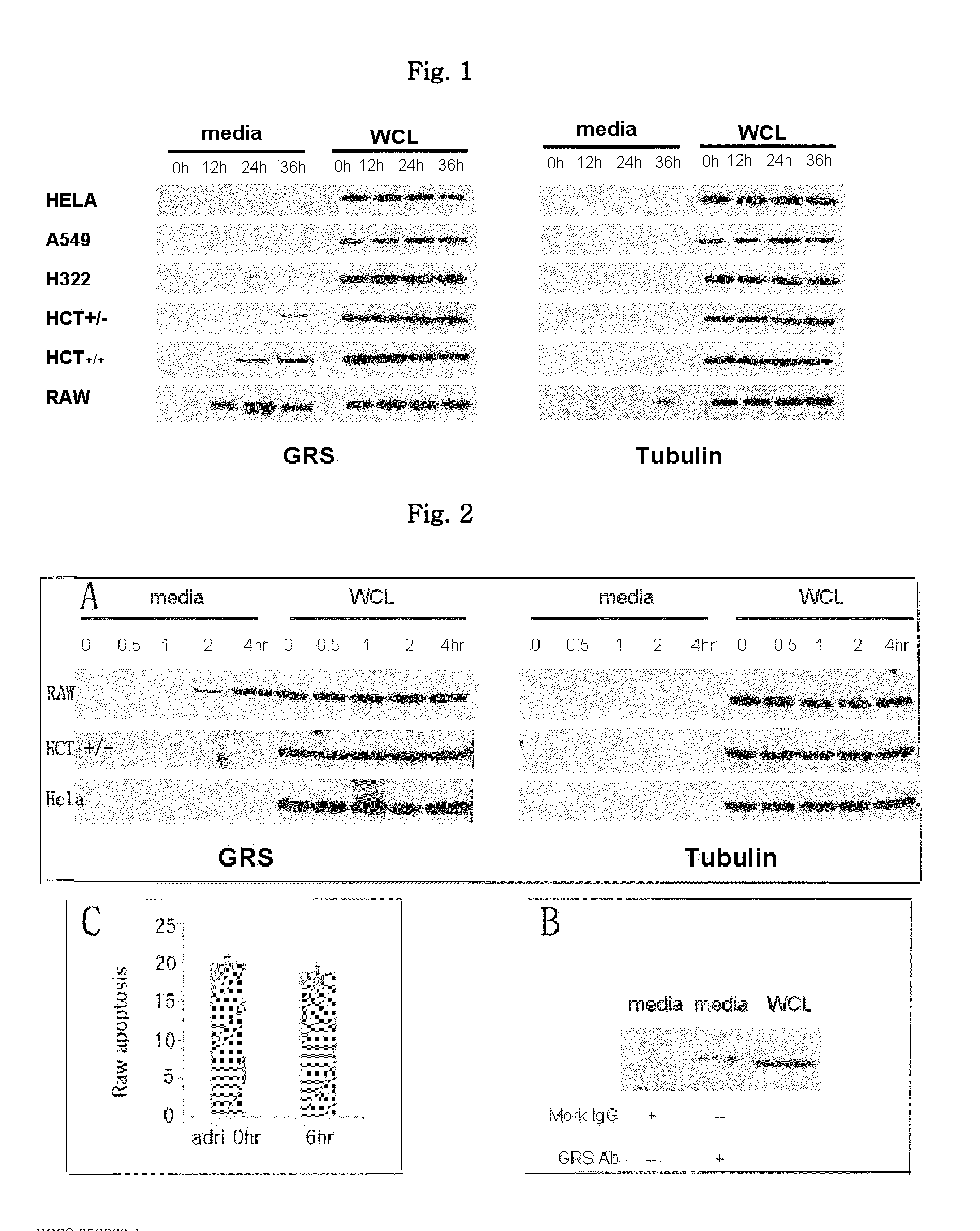 Novel uses of grs proteins or fragments thereof