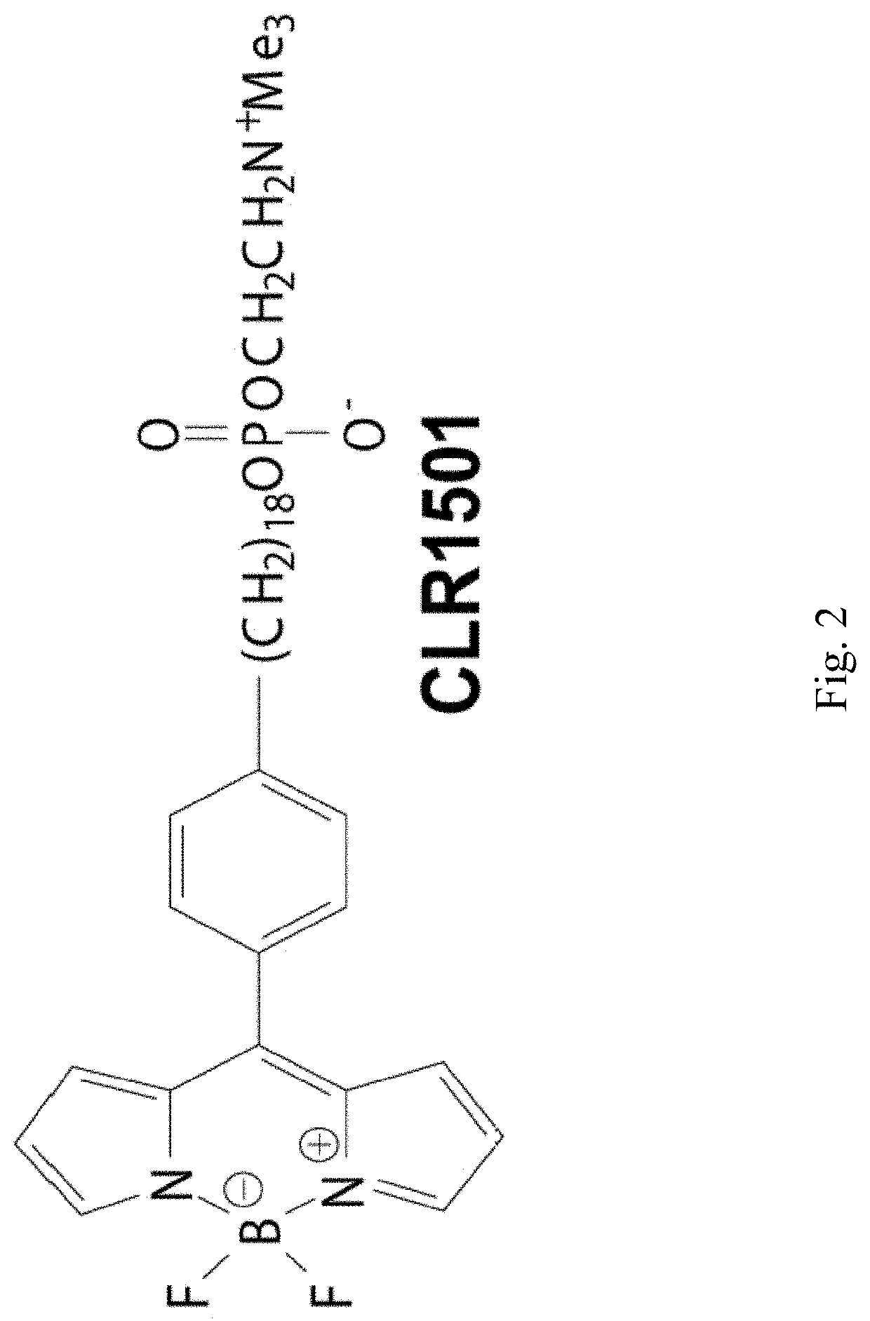 Phospholipid ether analogs for imaging and targeted treatment of pediatric solid tumors