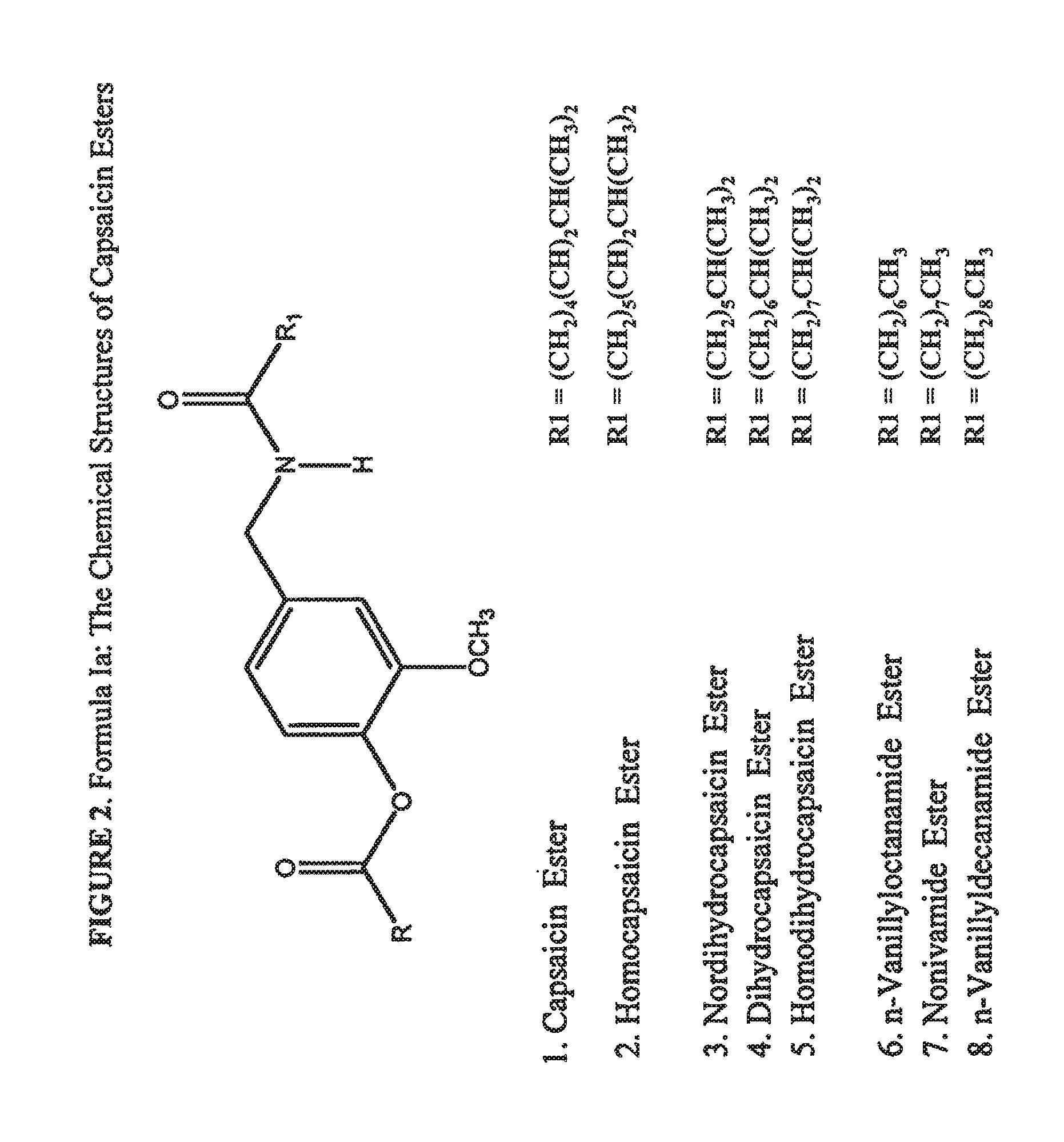 Esters of capsaicin for treating pain