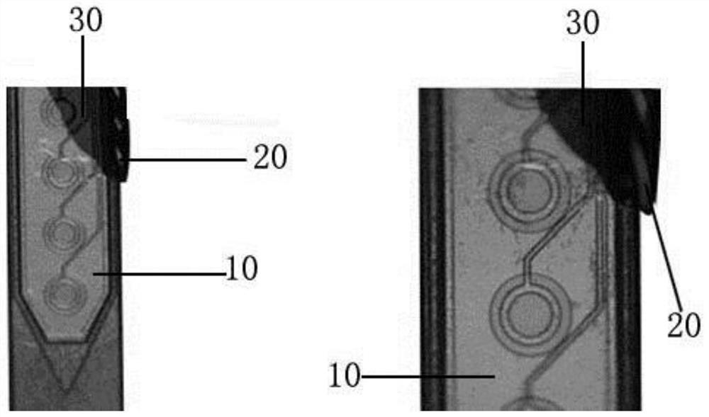 Neurophotoelectrode and its preparation method