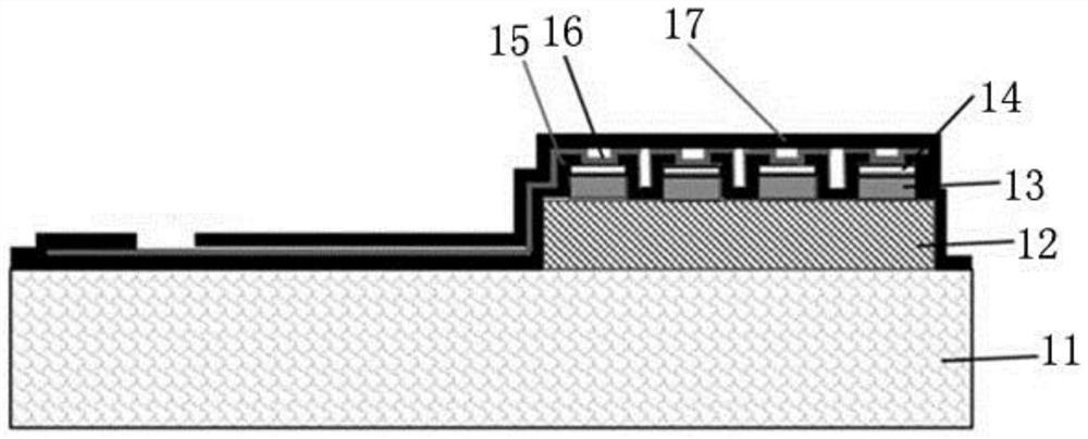 Neurophotoelectrode and its preparation method