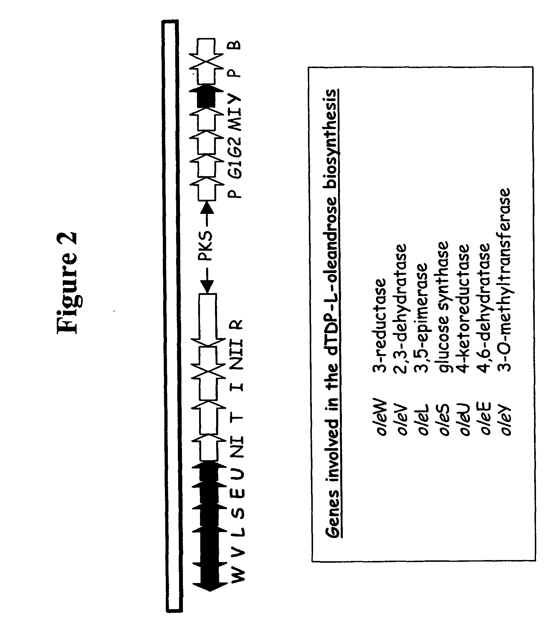 Hybrid glycosylated products and their production and use