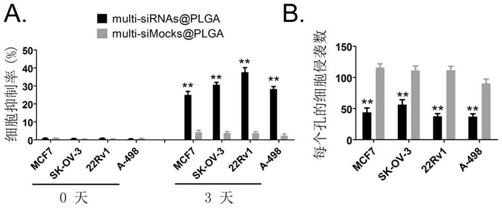 A kind of PLGA multi-target compound nano-reagent targeting tumor neovascularization and its preparation method and application