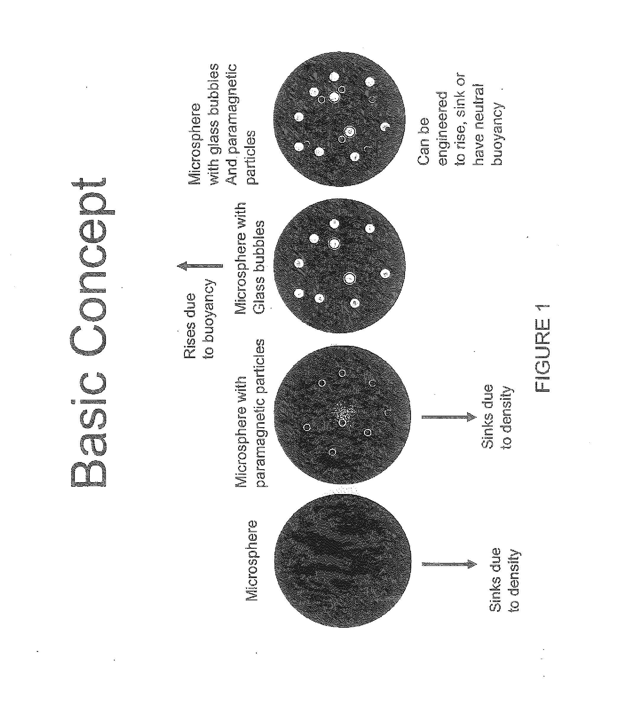 Automated cell culture system and process