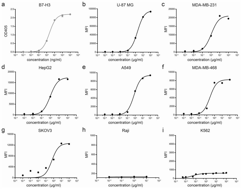 Anti-B7-H3 monoclonal antibody, anti-B7-H3*CD3 bispecific antibody, preparation method and application of anti-B7-H3*CD3 bispecific antibody