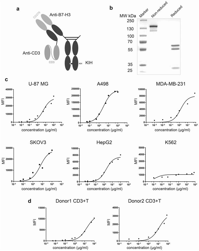 Anti-B7-H3 monoclonal antibody, anti-B7-H3*CD3 bispecific antibody, preparation method and application of anti-B7-H3*CD3 bispecific antibody