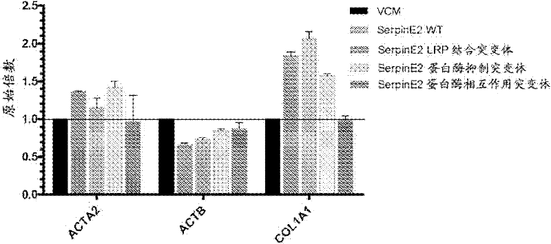 Compositions and methods for modulating collagen and smooth muscle actin expression by serpine2