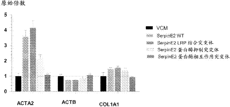 Compositions and methods for modulating collagen and smooth muscle actin expression by serpine2