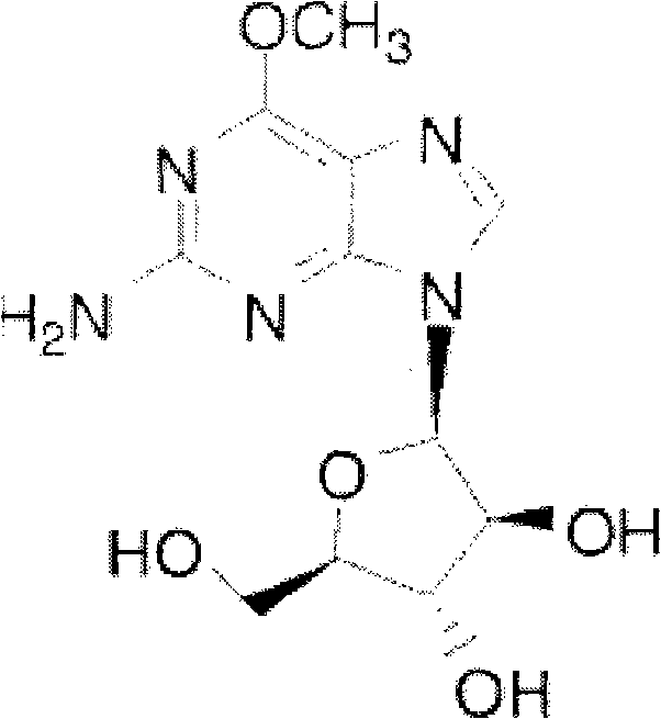 Intravenous injection of nelarabine and preparation method thereof