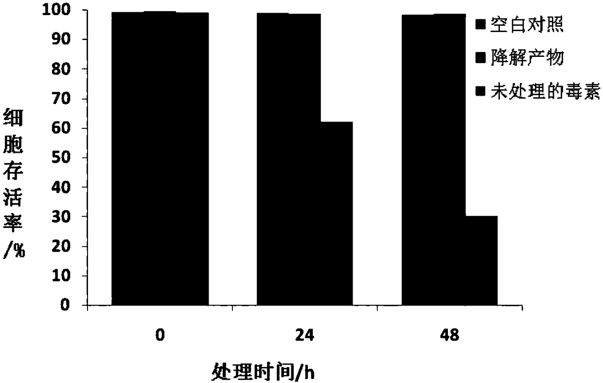 Traditional Chinese medicine preparation for degrading aflatoxin and preparation method thereof