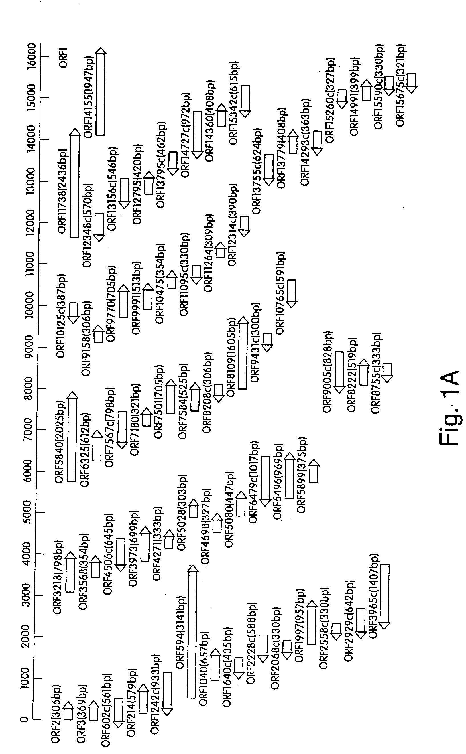 Virulence Associated Nucleic Acid Sequences and Uses Thereof