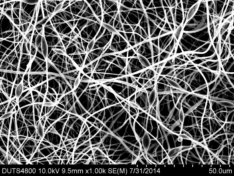 Counter electrode material of sensitized solar battery and manufacturing method of counter electrode material