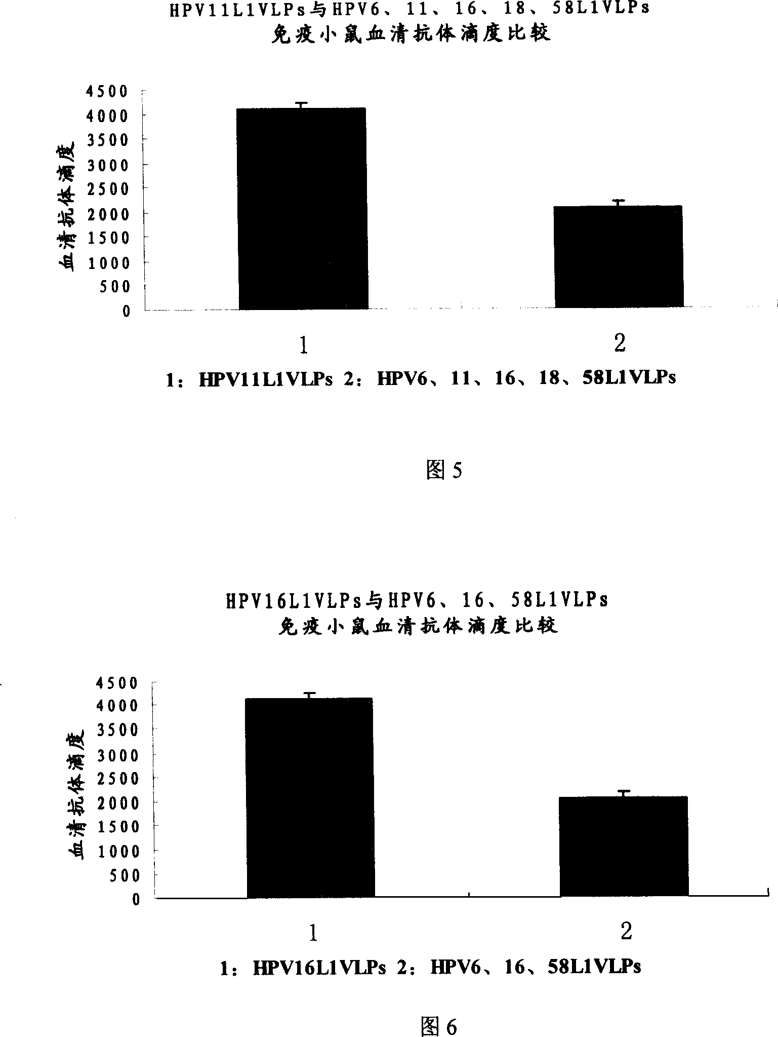 Human papilloma virus sample particle vaccines