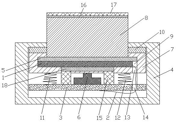 Frameless display switch device