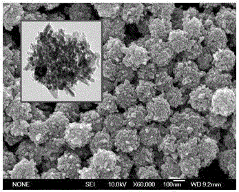 Hydro-thermal synthesis method for molybdenum-sulphur co-doped mesoporous nano titanium dioxide visible-light-driven photocatalyst