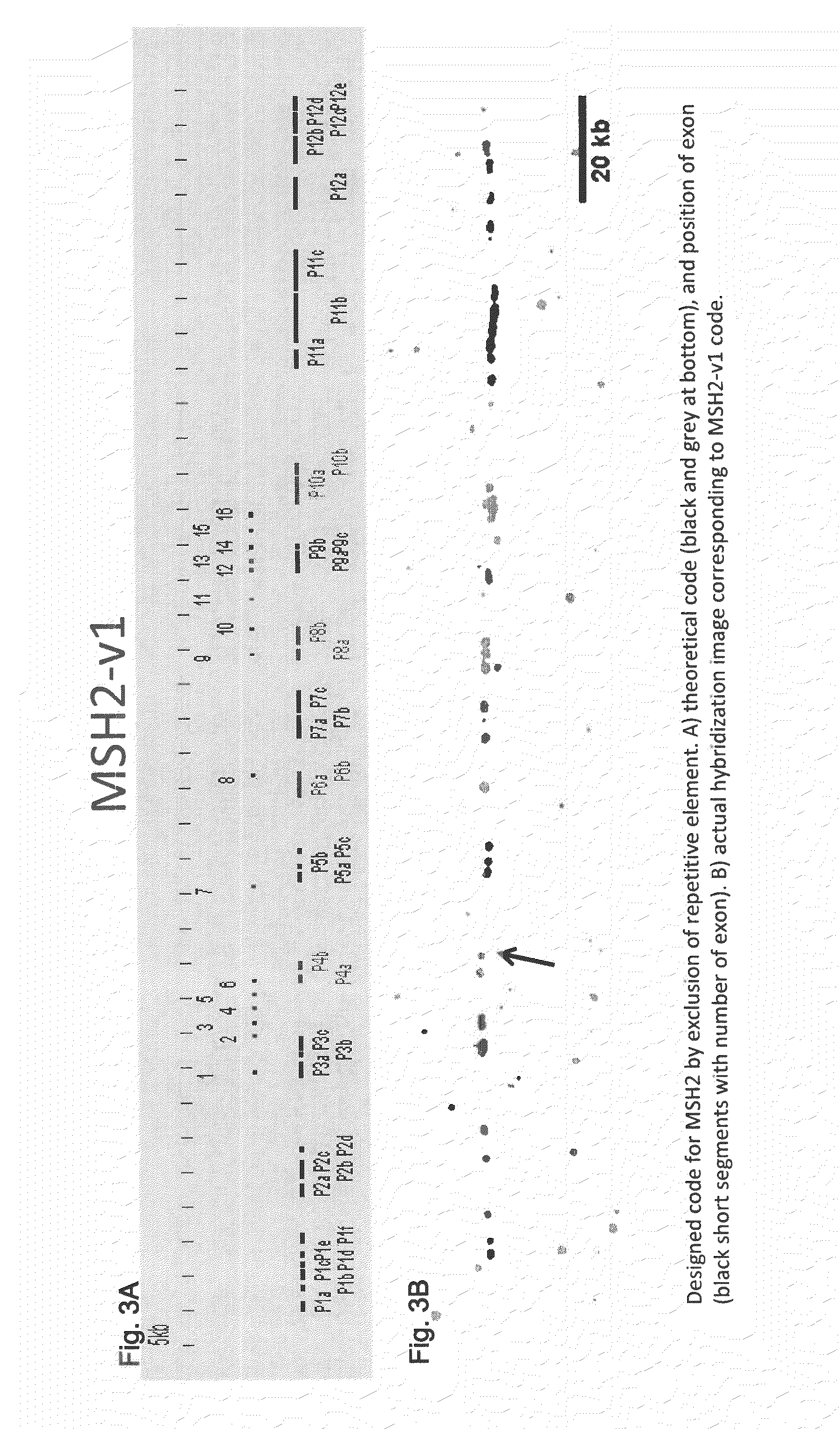 Method for identifying or detecting genomic rearrangements in a biological sample