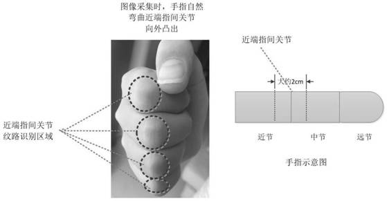 Recognition method of proximal interphalangeal joint texture based on gabor wavelet