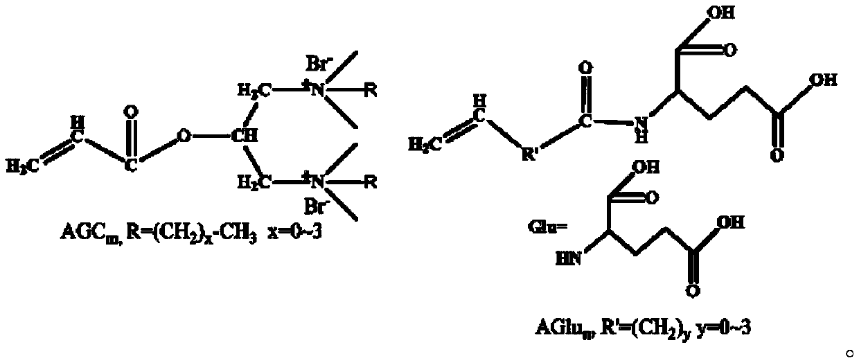 Novel amphoteric acrylamide polymer flocculant and preparation method thereof