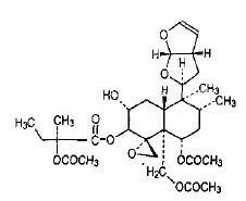 Preparation method of clerodendrin B