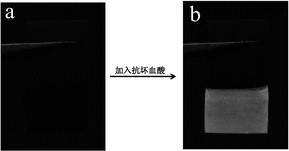 Carbon dot/chitosan detector with dual detection function and preparation method thereof