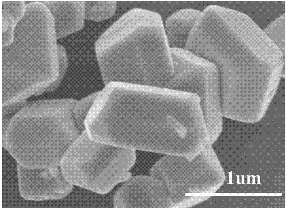 Silver phosphate-bismuth vanadate multiplex photocatalyst and preparation method thereof