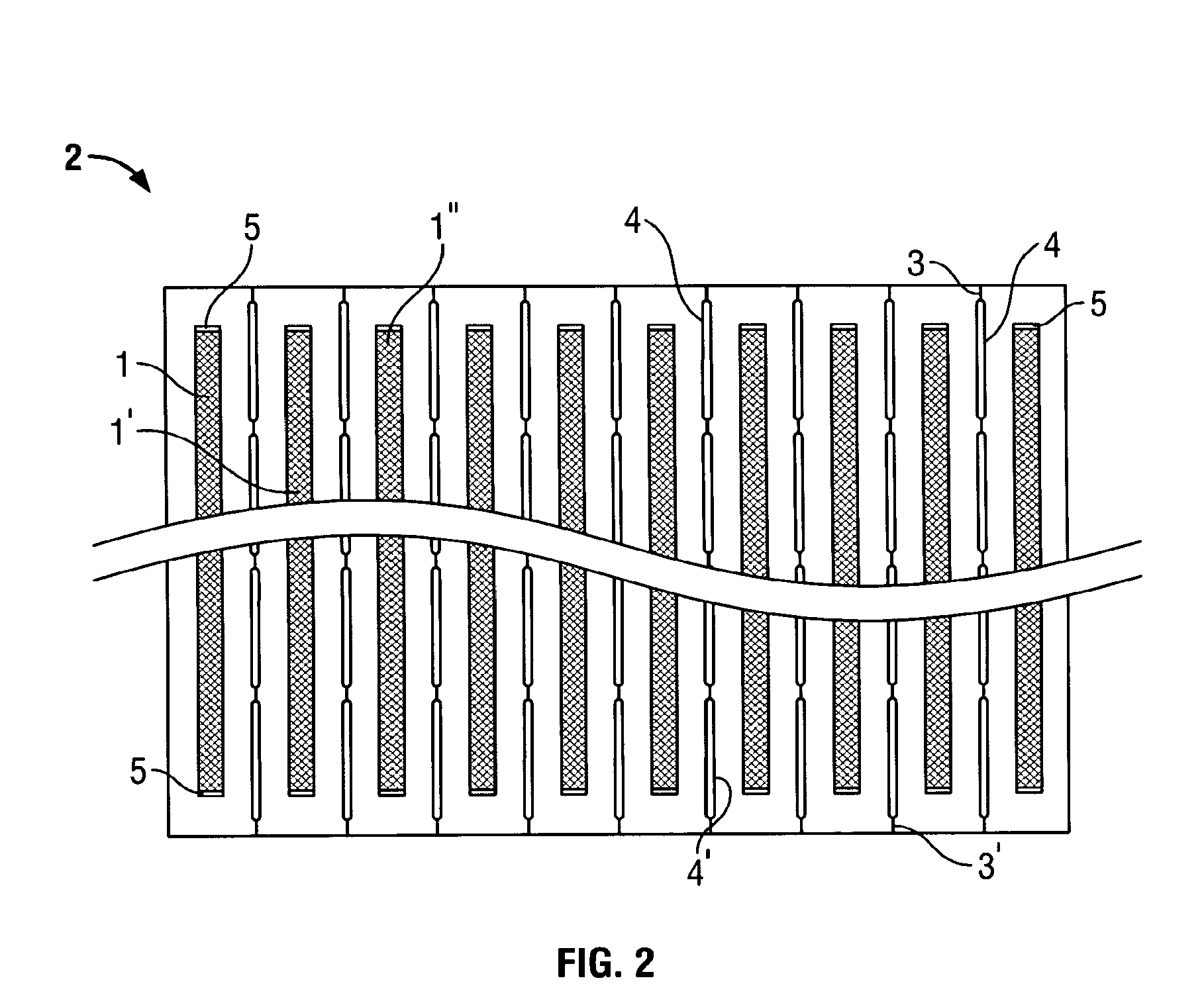 Facile method and apparatus for the analysis of biological macromolecules in two dimensions using common and familiar electrophoresis formats