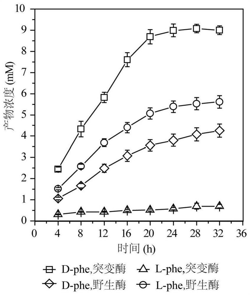 A kind of highly stereoselective phenylalanine deaminase mutant and its application