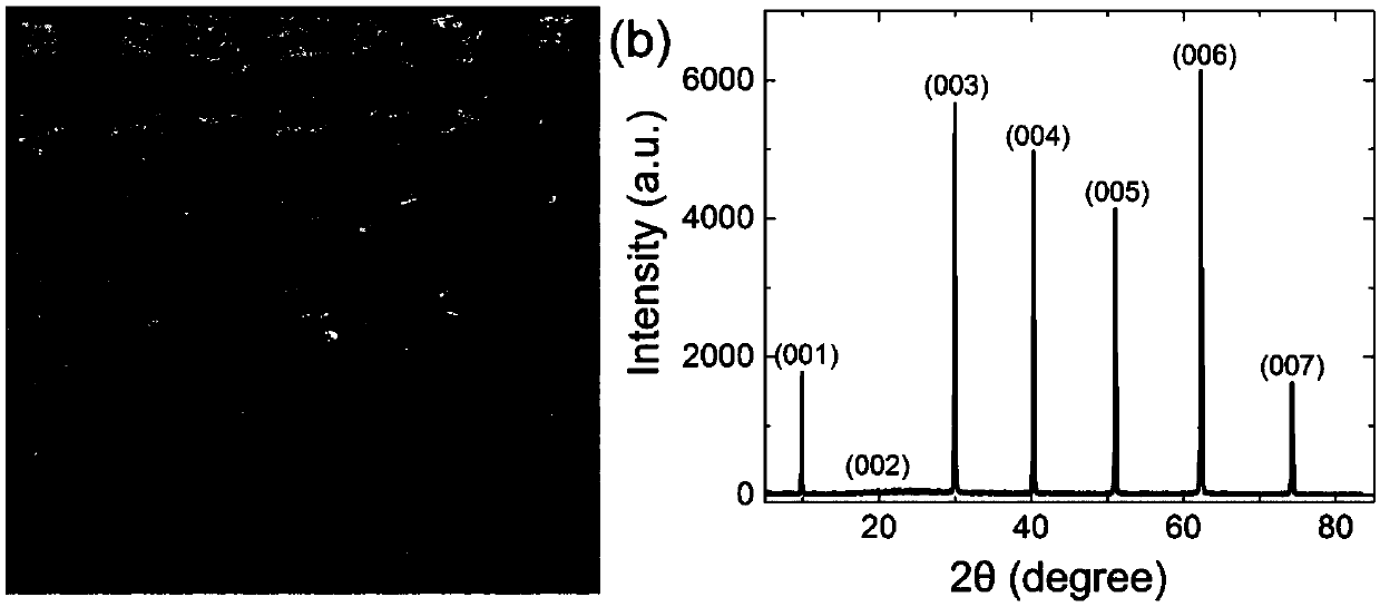 Oxide thermoelectric material BiCuSeO single crystal and preparation method thereof