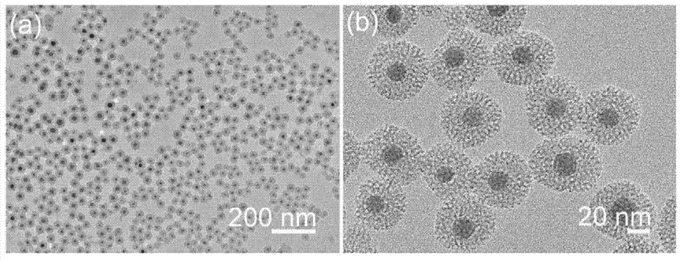 Copper sulfide/mesoporous silicon dioxide core-shell nano material as well as preparation method and application thereof