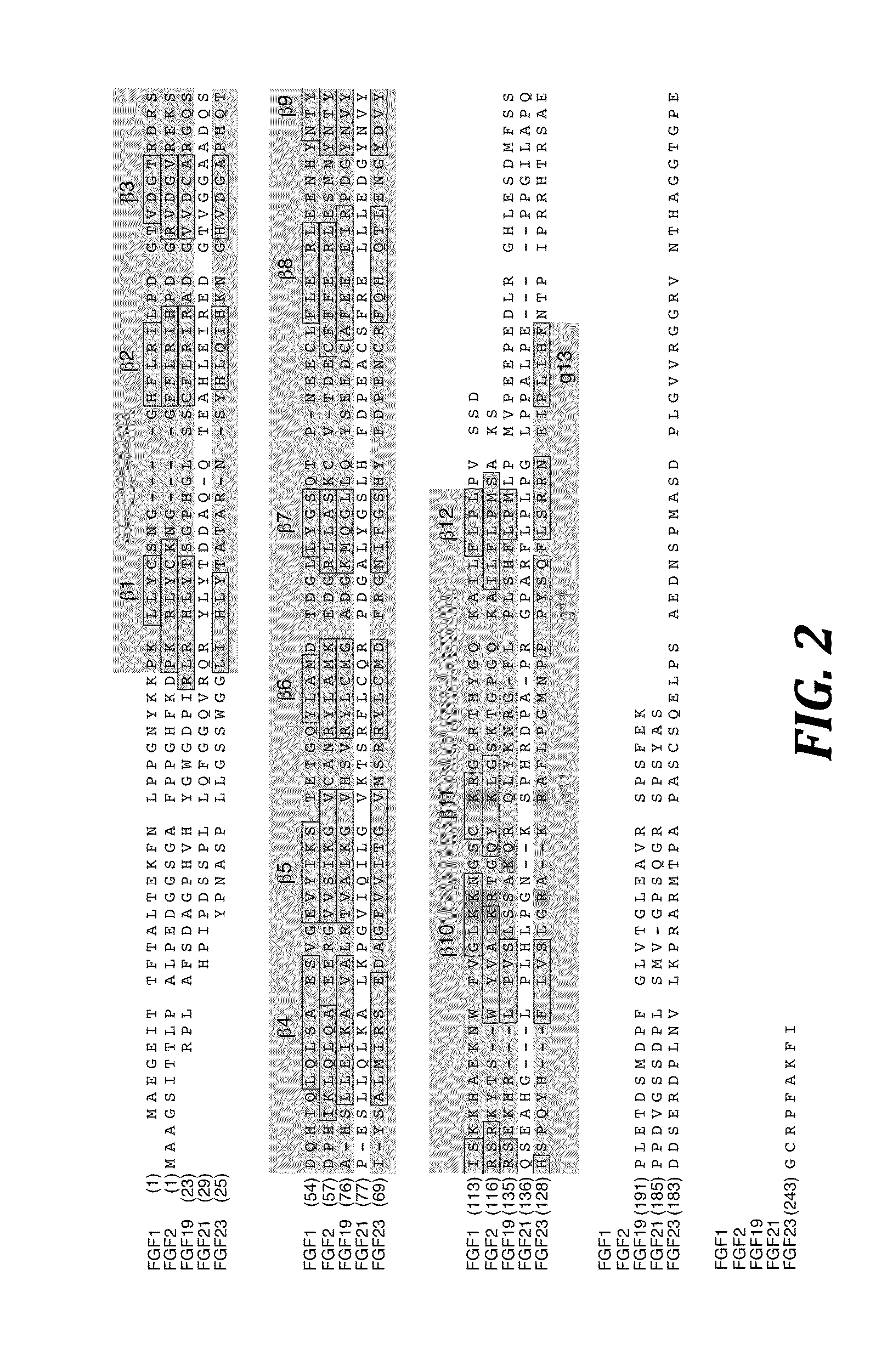 Chimeric fibroblast growth factor 19 proteins and methods of use