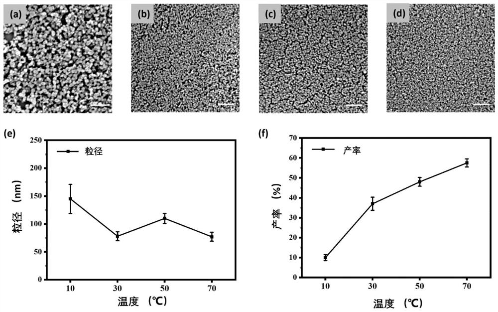 Preparation and ultraviolet protection application of artificial fungus melanin material