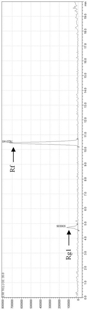 Serratia marcescens HGS-487 strain for converting ginsenoside Rf into ginsenoside Rg1 and application