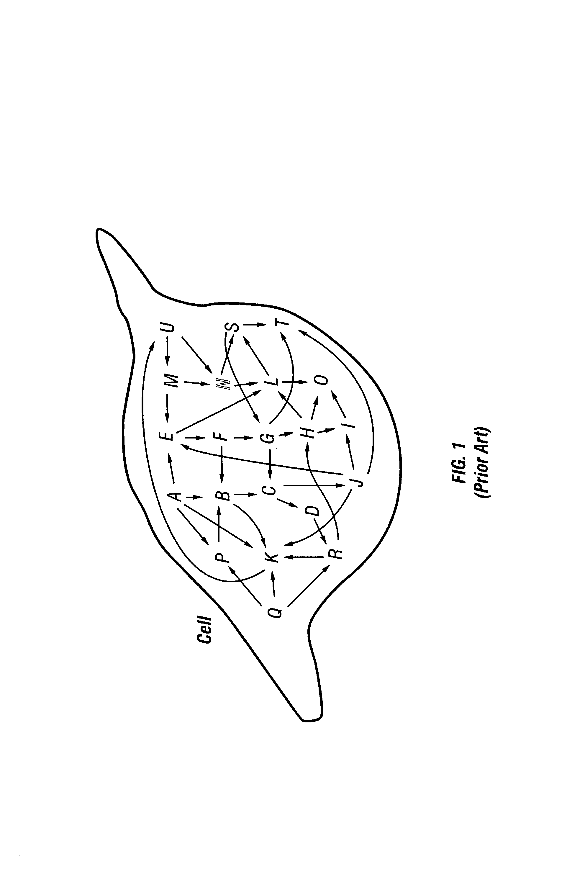 Method to measure the activation state of signaling pathways in cells