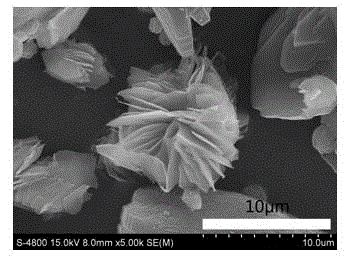 Preparation method for low silicon-aluminum ratio nanosheet flower cluster-like mordenite molecular sieve