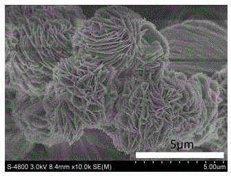 Preparation method for low silicon-aluminum ratio nanosheet flower cluster-like mordenite molecular sieve
