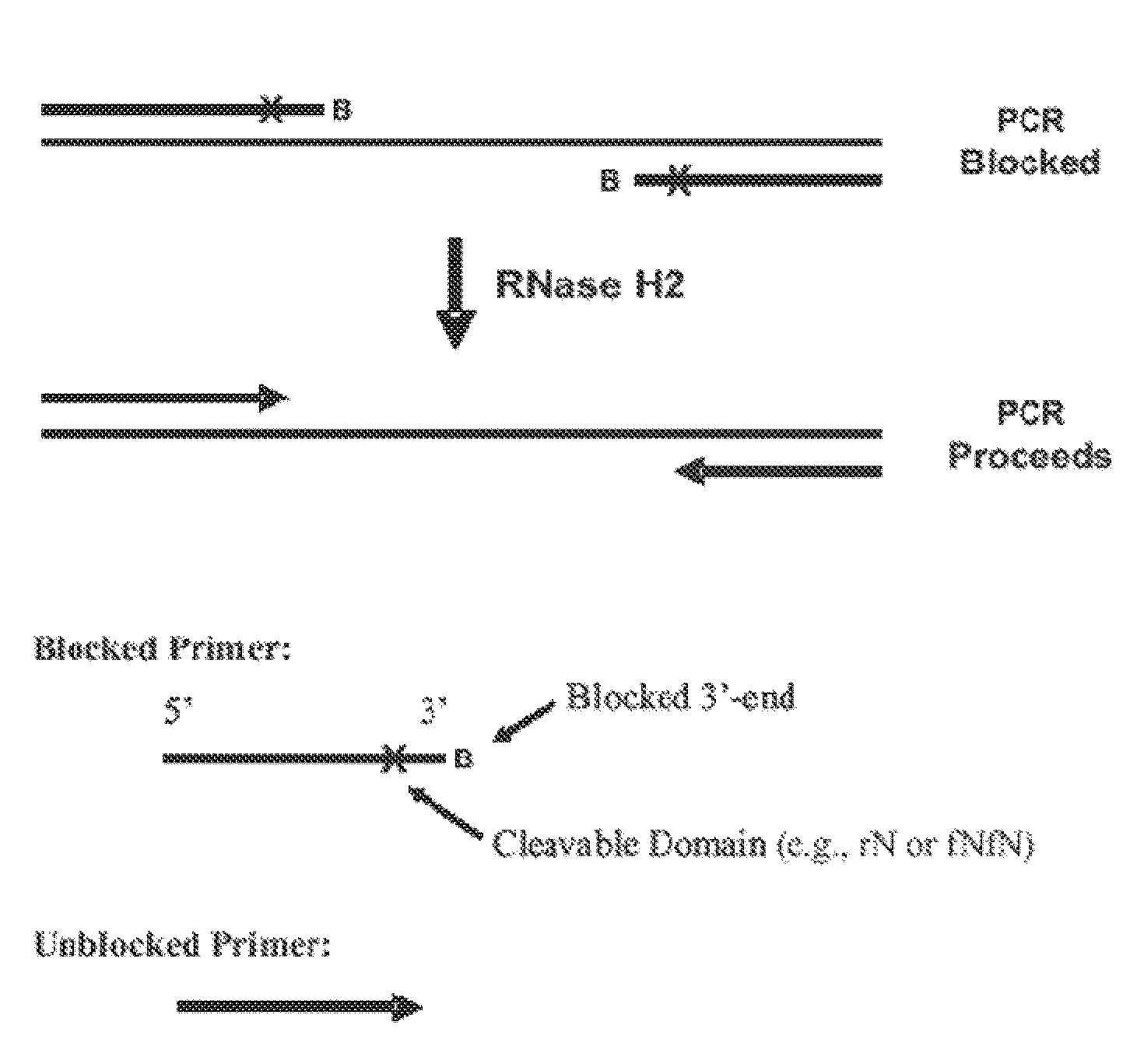 RNase H-based assays utilizing modified RNA monomers